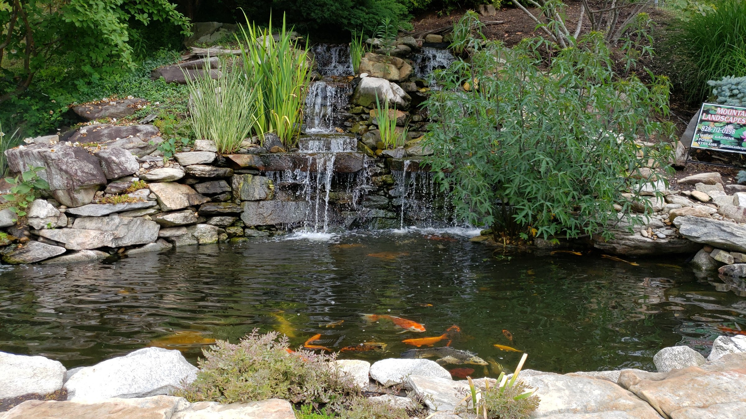 Water Gardening Water Gardening