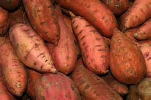 Sweet Potatoe Varieties